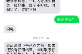 保亭融资清欠服务